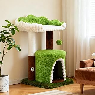 11 Cozy Pet Accessories for Instagram-Worthy Cat Corners