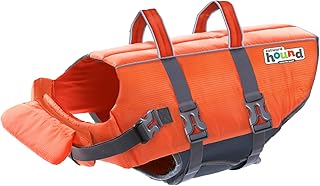 11 Poolside Pet Safety Products Under $40 That Give Peace of Mind