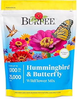 How to Create a Pollinator Paradise with These 11 Garden Finds