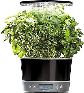15 Herb Garden Essentials for Fresh Kitchen Cooking